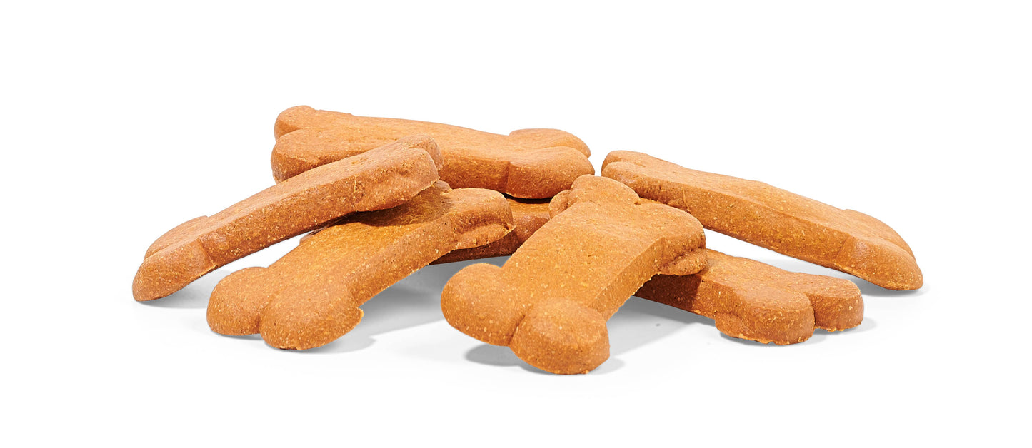 Portland Pumpkin Dog Biscuits
