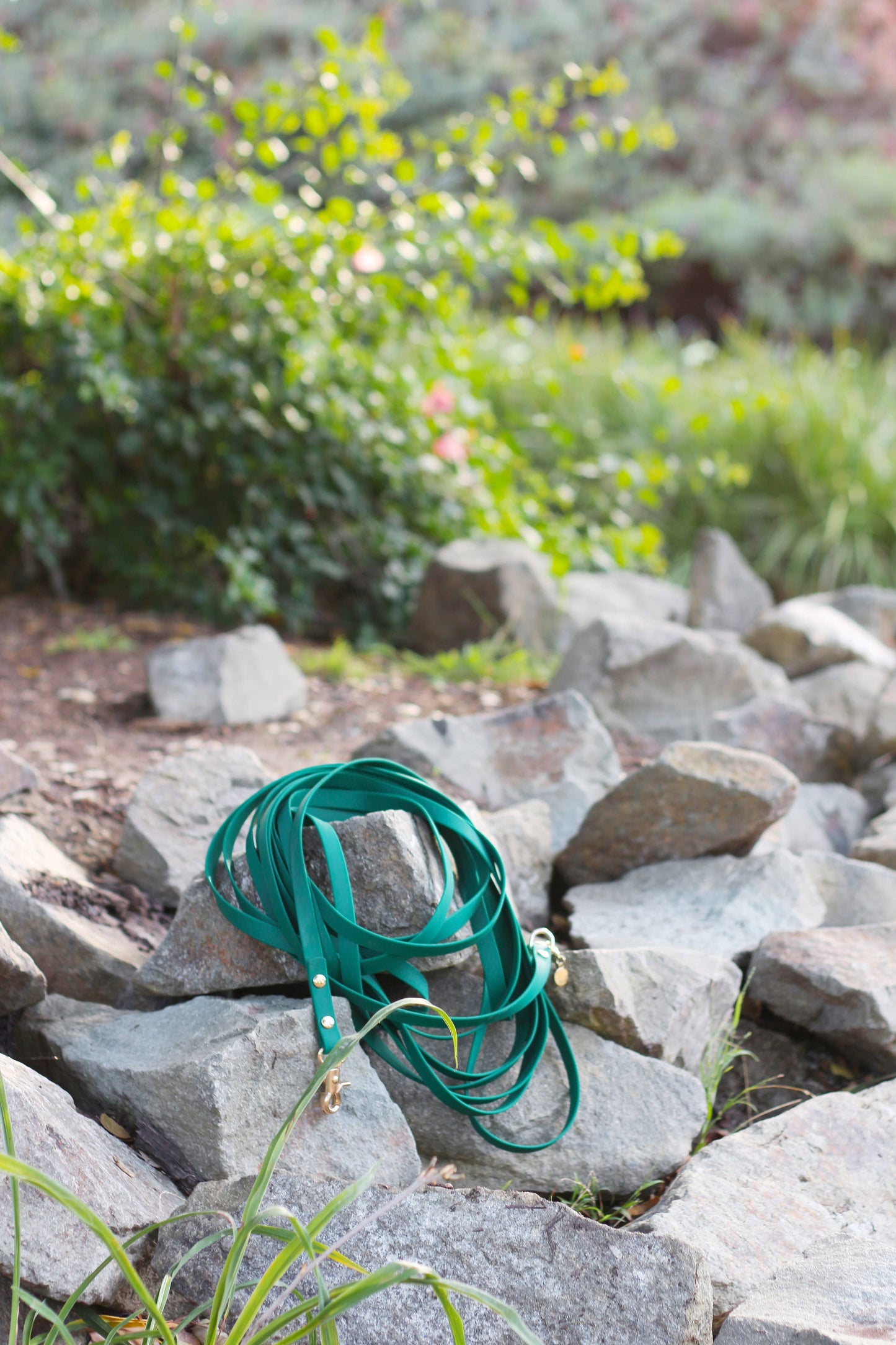 Meadow Green Waterproof Cloud 30 Ft Dog Leash