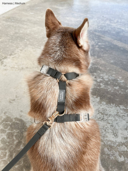 Sunny Tails Ember Black Cloud Lite Dog Harness