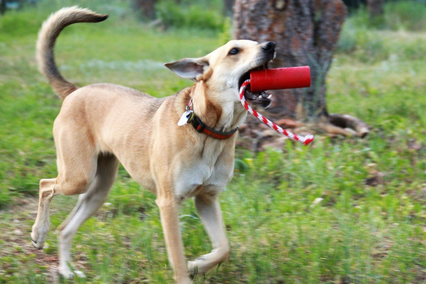 USA-K9 Firecracker Training Dummy -Red