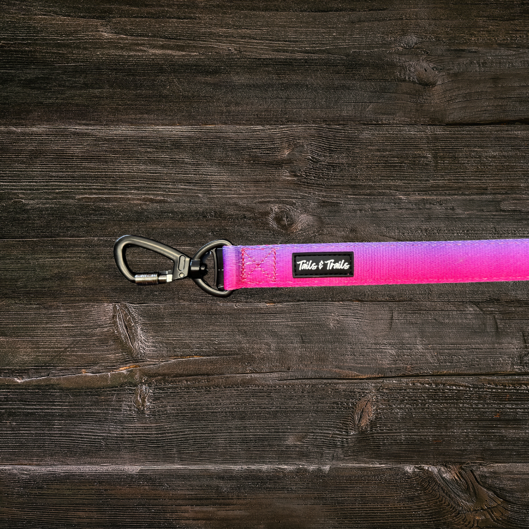 Double Handle Sunrise Trail Leash