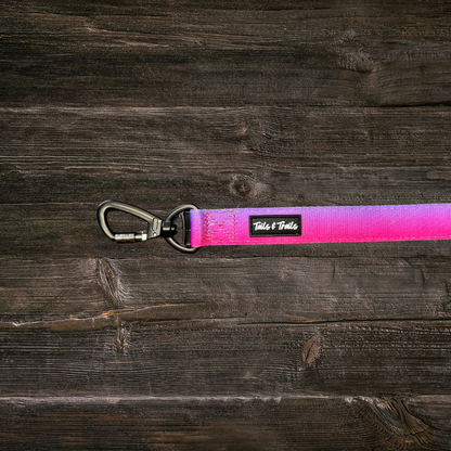 Double Handle Sunrise Trail Leash