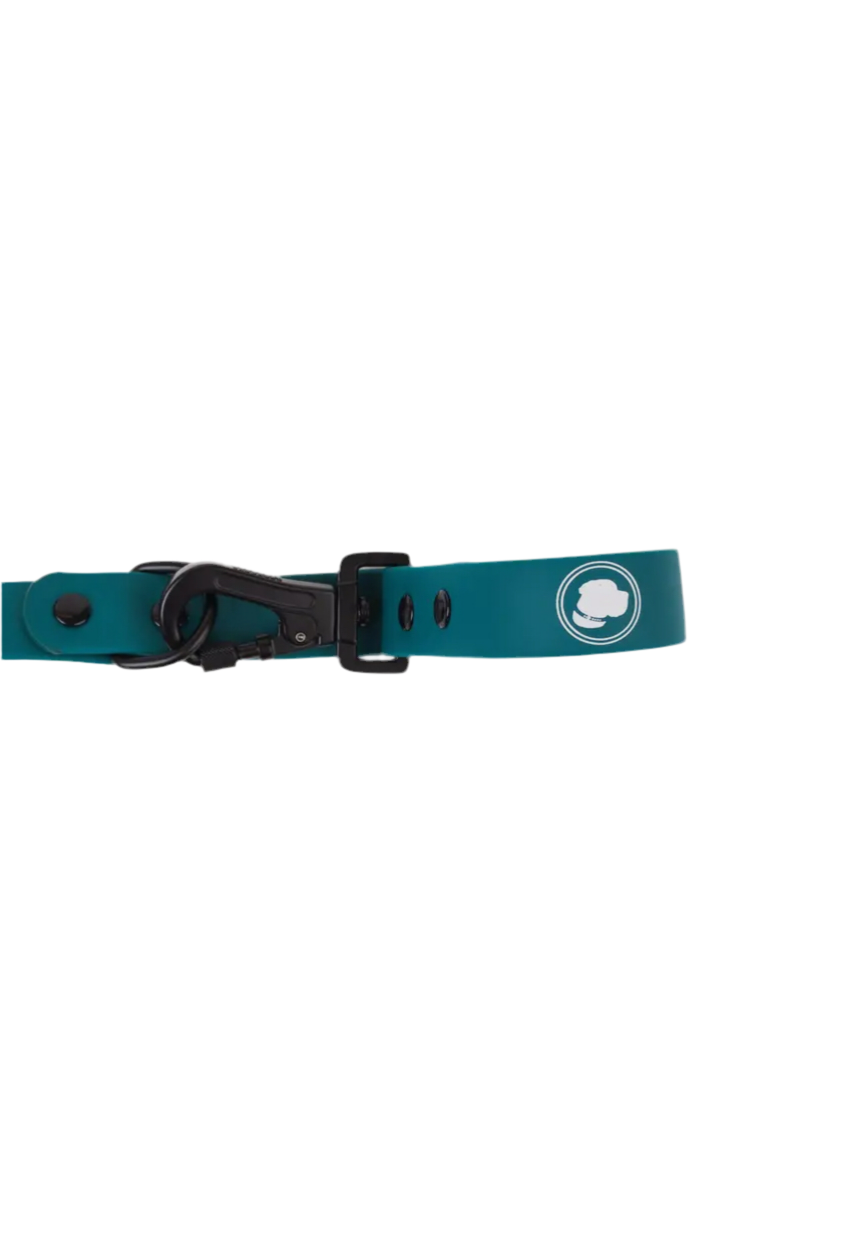 Forest Green Leash