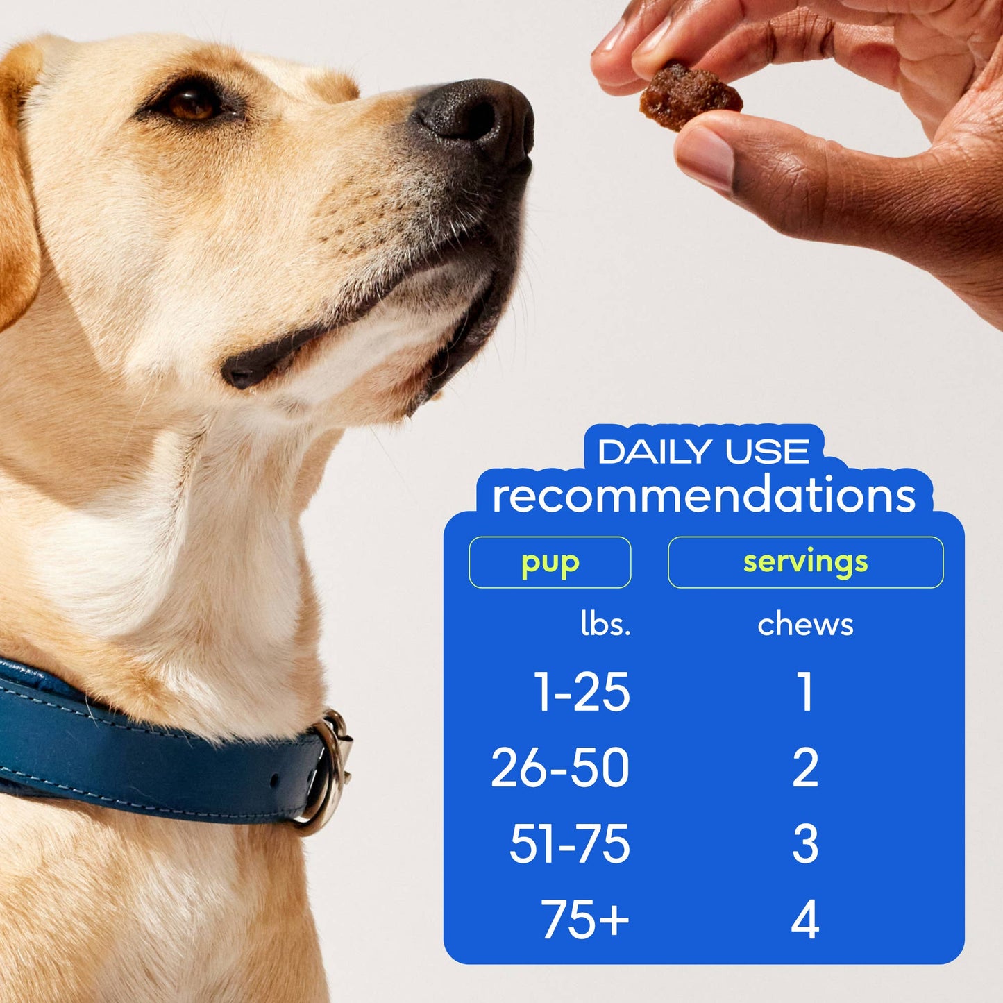Native Pet Skin + Coat Chews, Skin & Coat Supplement for Dogs: 30ct