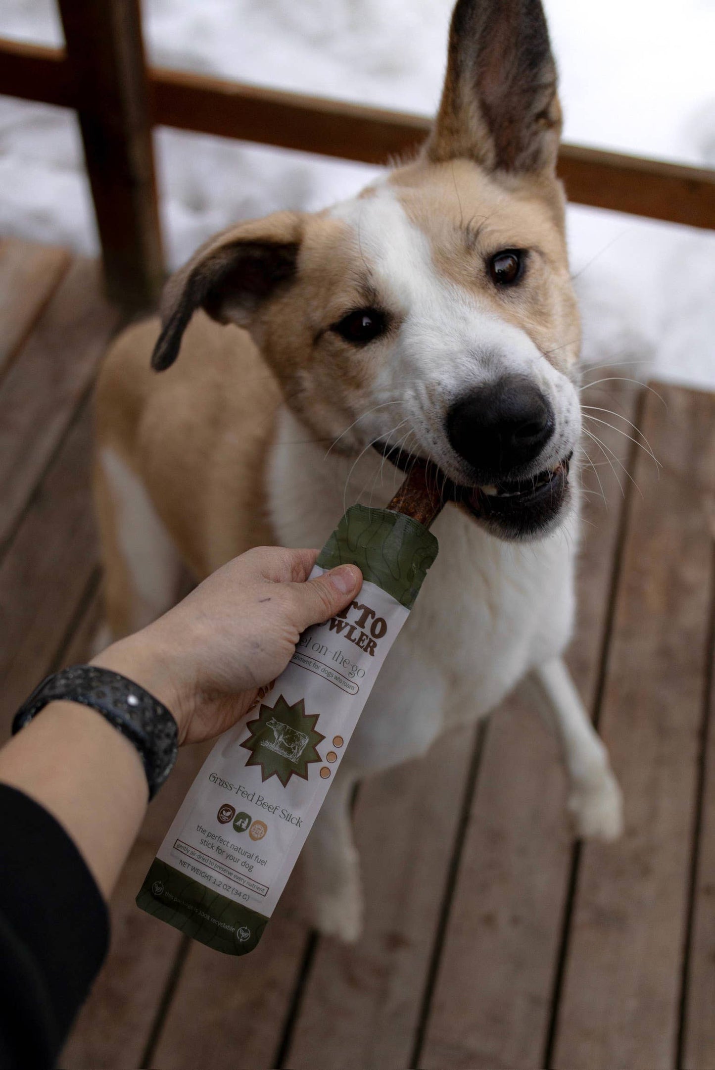 Grass-Fed Beef Sticks