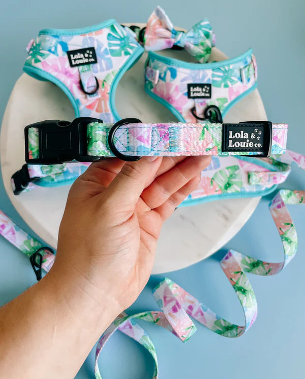 Monstera Dog Collar
