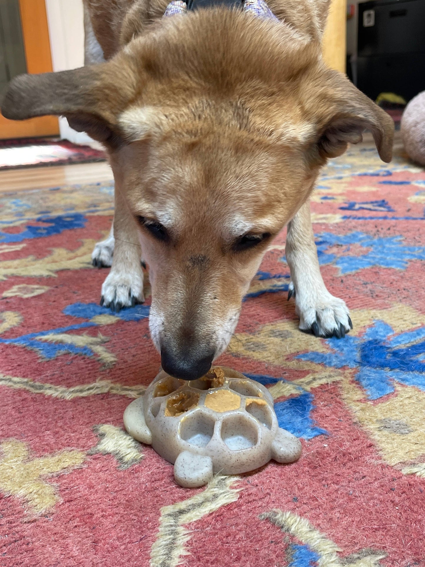 Turtle Durable Nylon Chew Toy: Turtle
