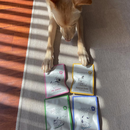 Gogoma PB + Pumpkin Whole Food Dog Treat for Digestion