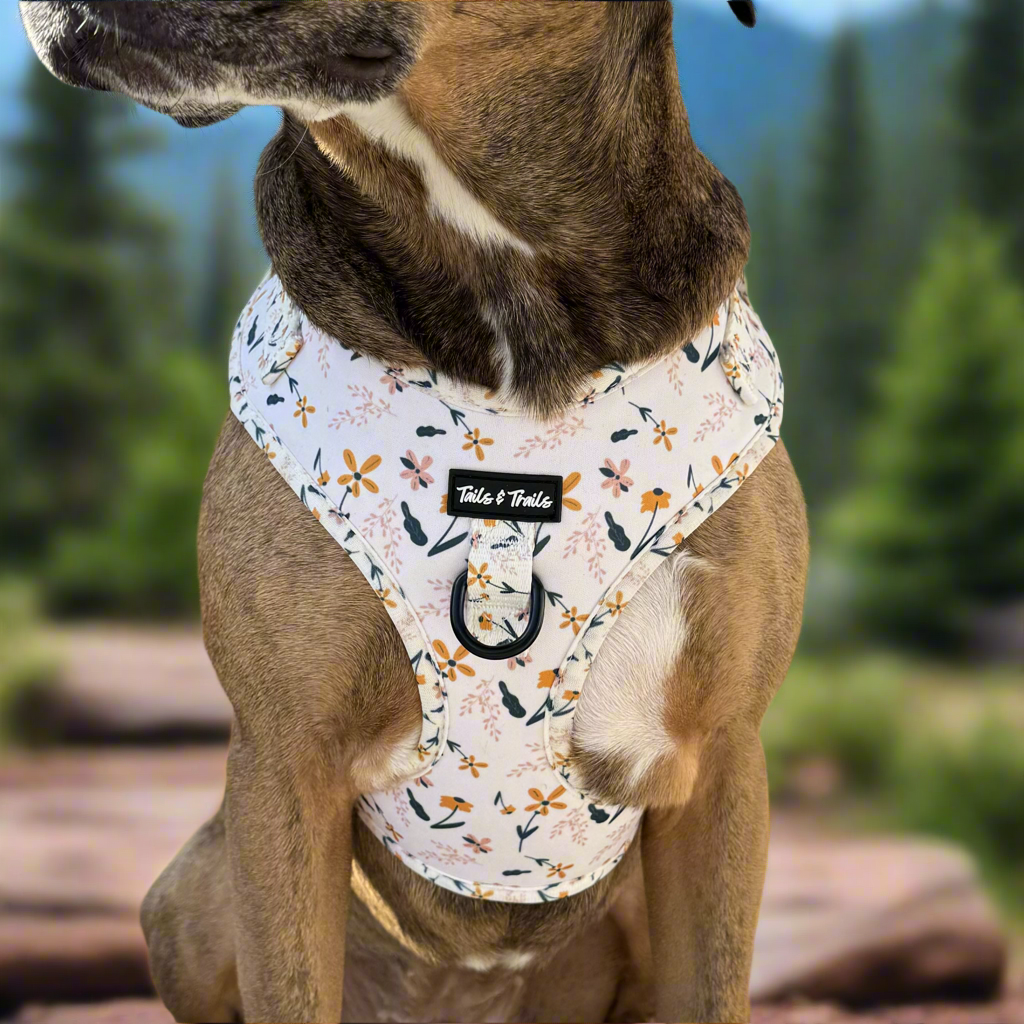 Wildflower Pull Over Trail Harness