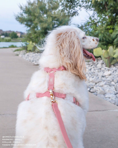 Perfect Pink Waterproof Cloud 30 Ft Dog Leash