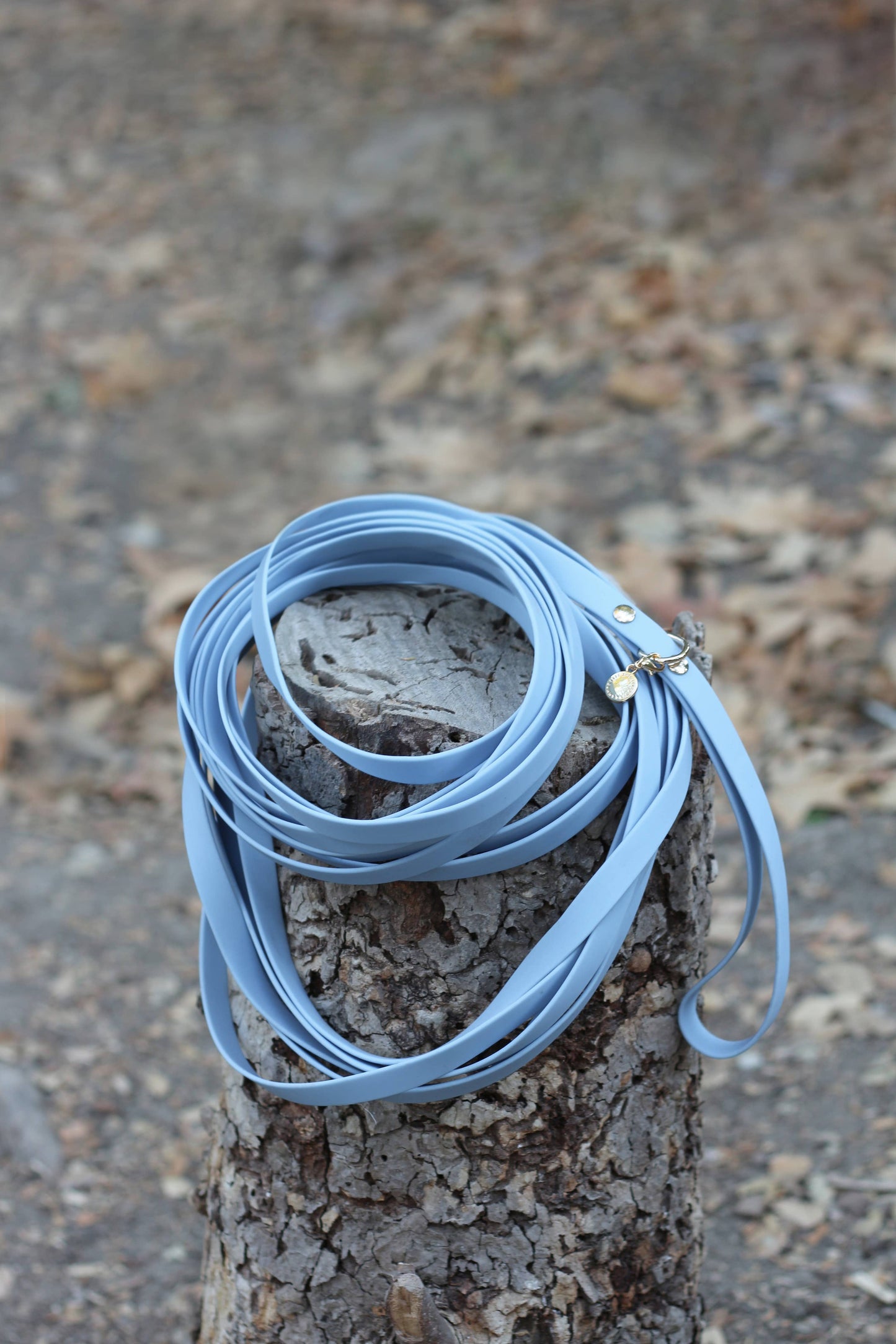 Malibu Blue Waterproof Cloud 30 Ft Dog Leash