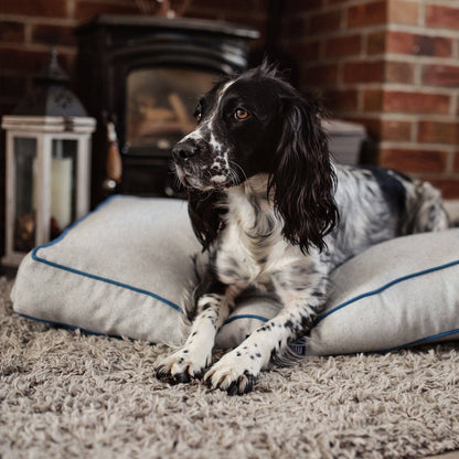 Bondi Eco-Fabric Dog Bed: Large