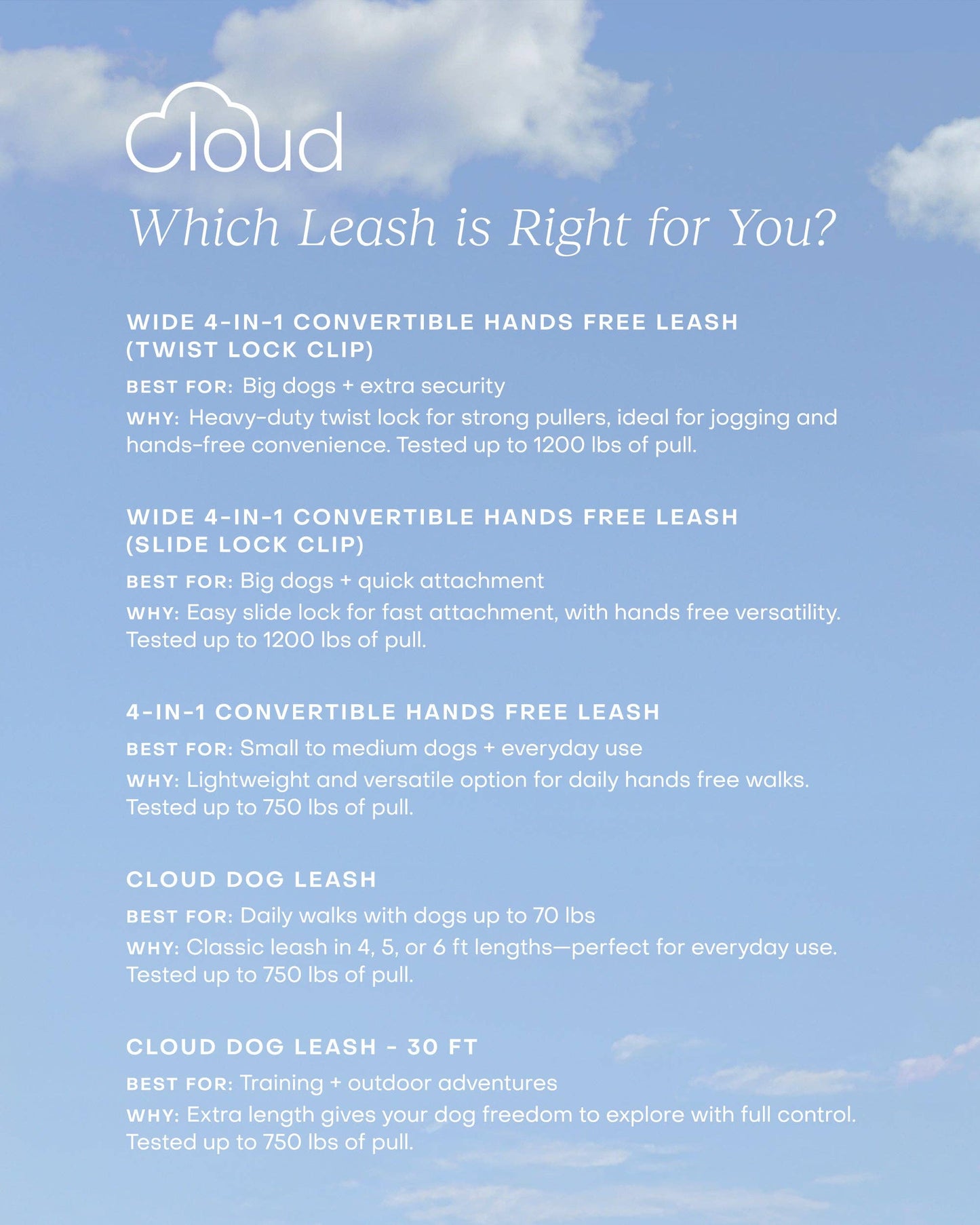 Signature Navy Waterproof Cloud Dog Leash: 6 FT