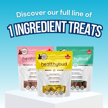 Healthybud's Single-Ingredient Banana Chip Dog Treats