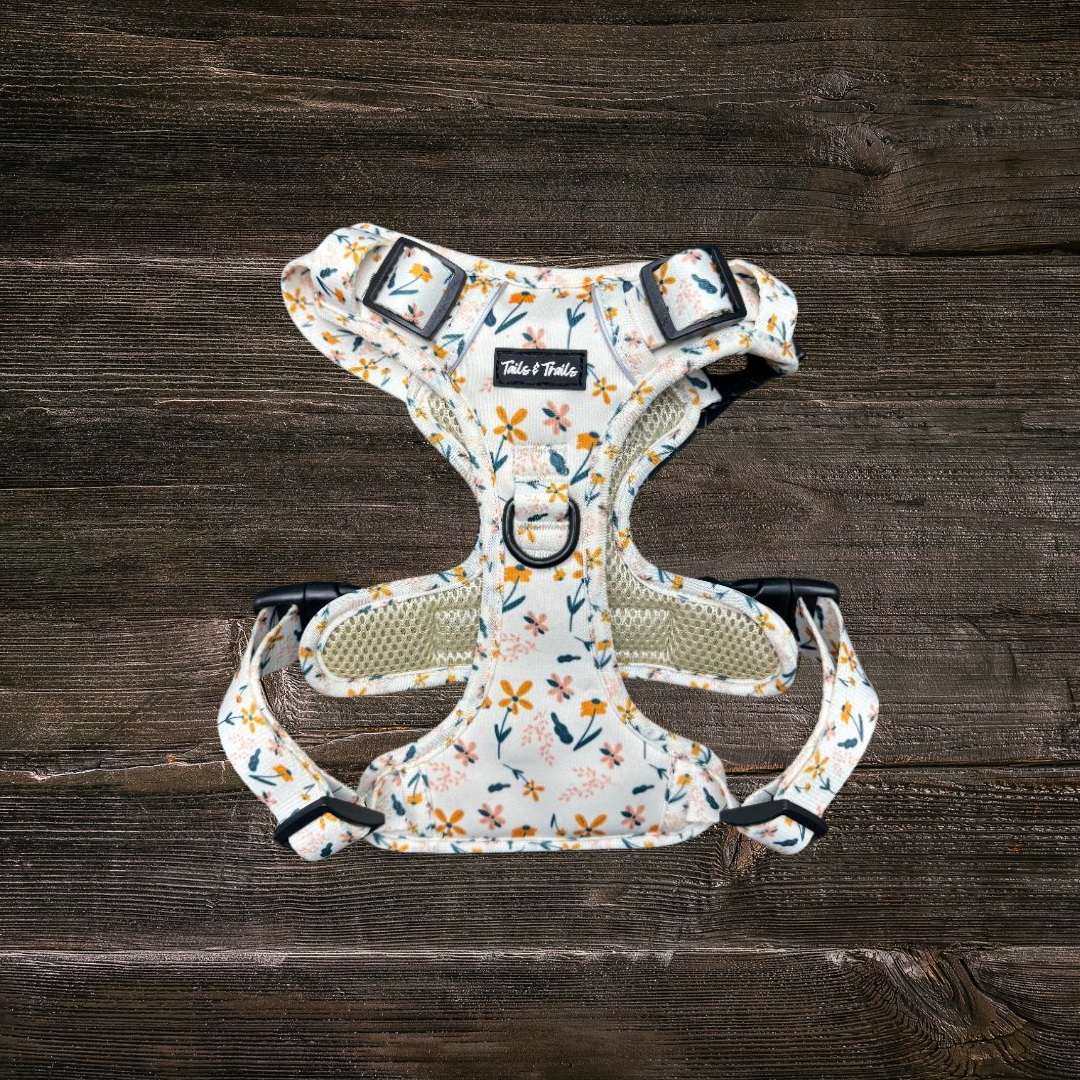 Wildflower Adventure Dog  Harness