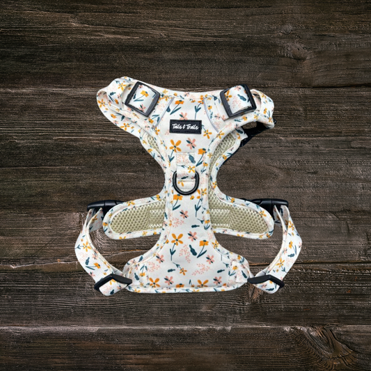 Wildflower Adventure Dog  Harness