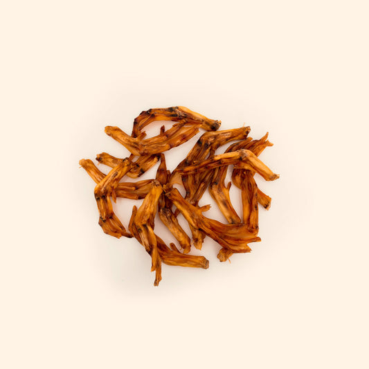Duck Feet
