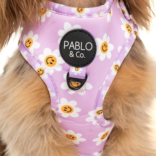 Lilac Smiley Flowers Dog Harness