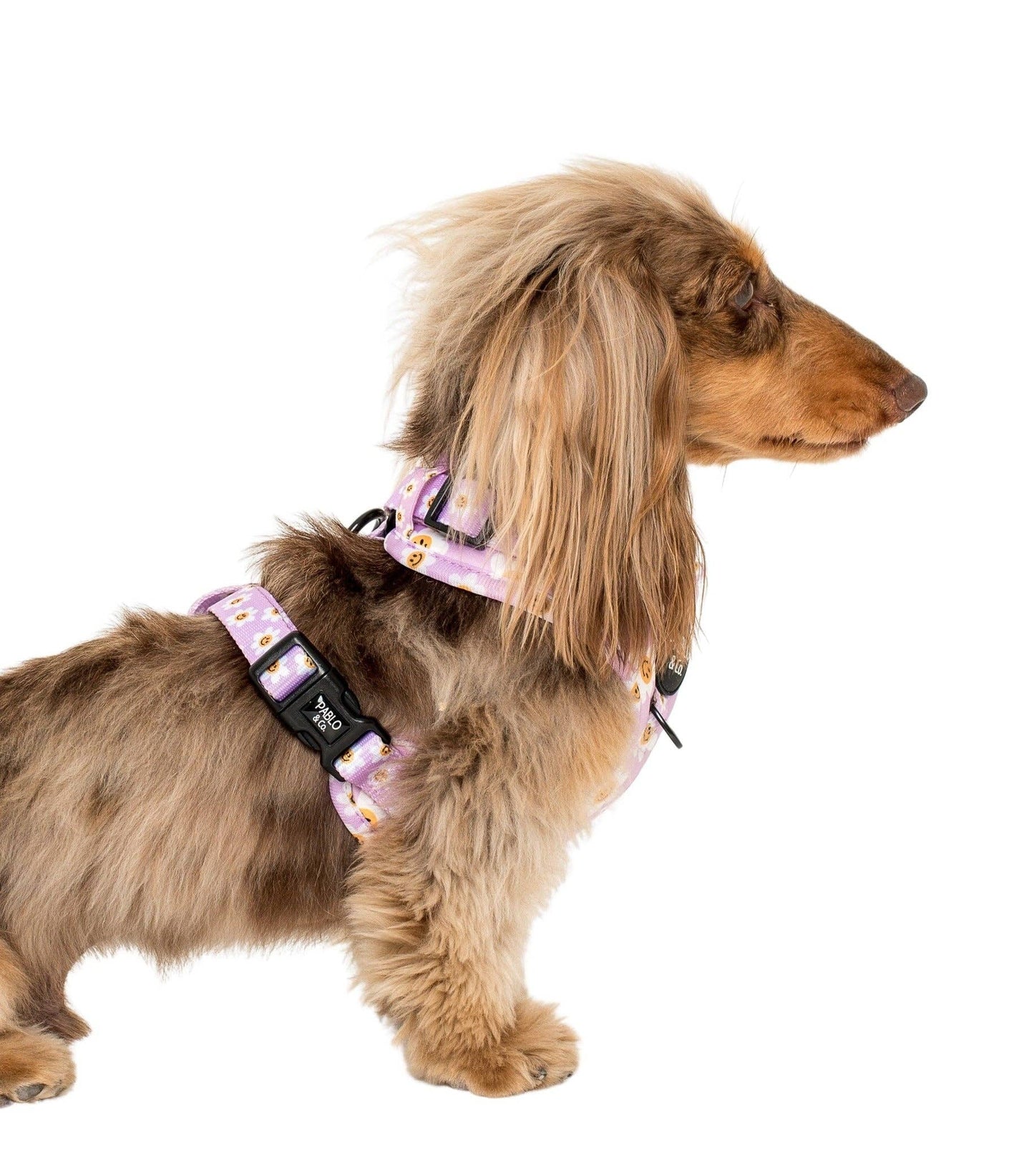 Lilac Smiley Flowers Dog Harness