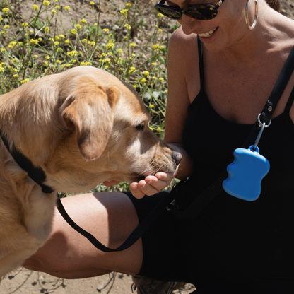 Springer Squeeze Silicone Dog Treat Dispenser