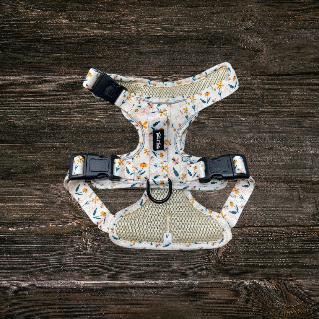 Wildflower Adventure Dog  Harness