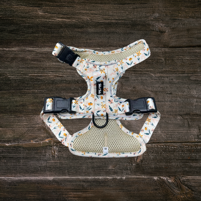 Wildflower Adventure Dog  Harness