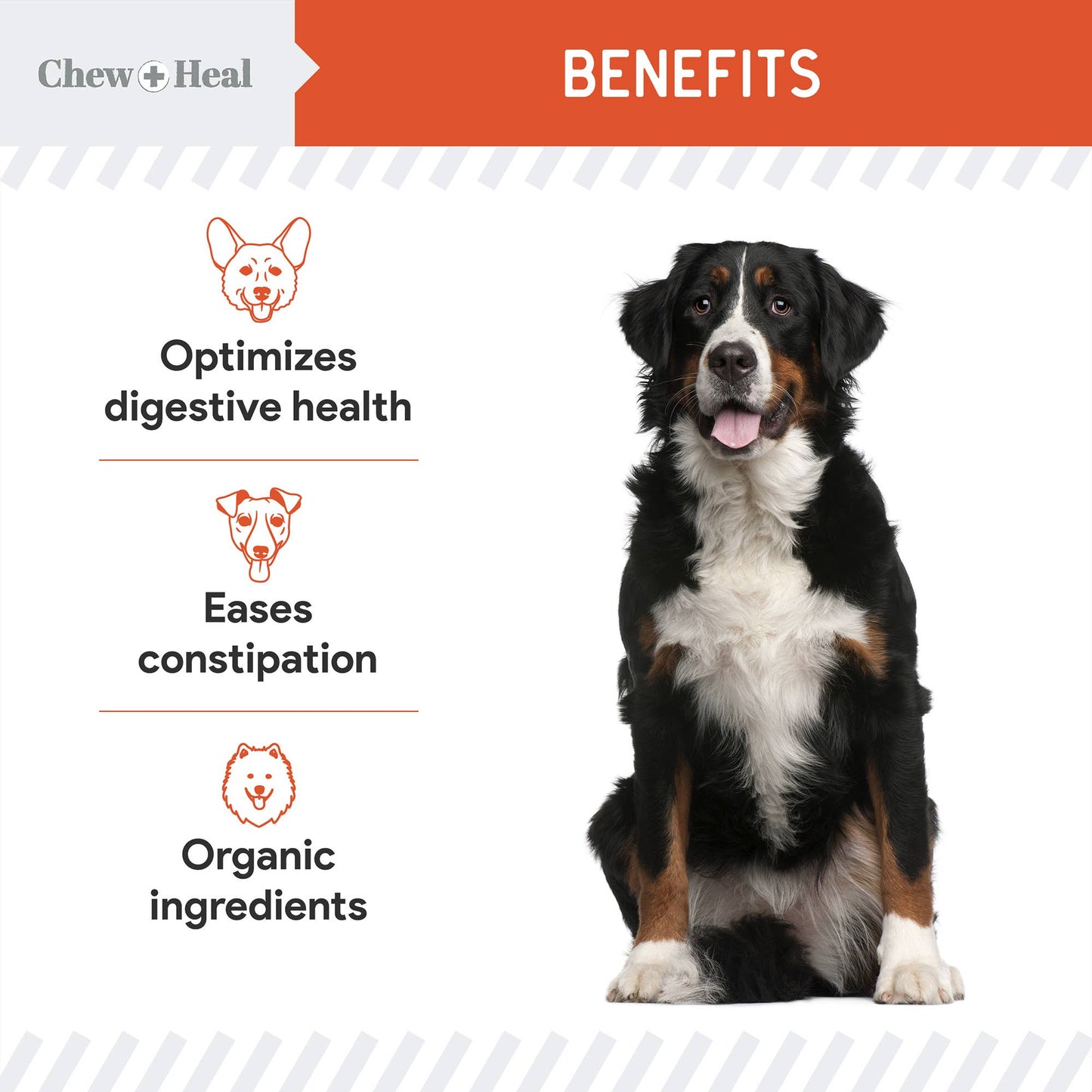Chew + Heal Organic Pumpkin Powder Blend