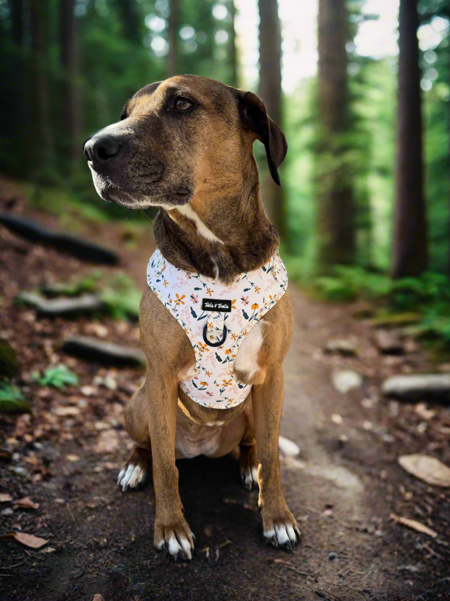 Wildflower Pull Over Trail Harness