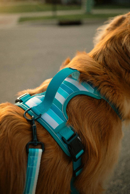 Double Handle Tide Break Trail Leash