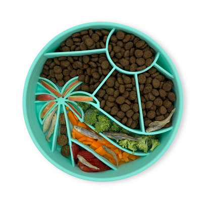 Loco Coco Interactive Slow Feeder Bowl : Moonlight