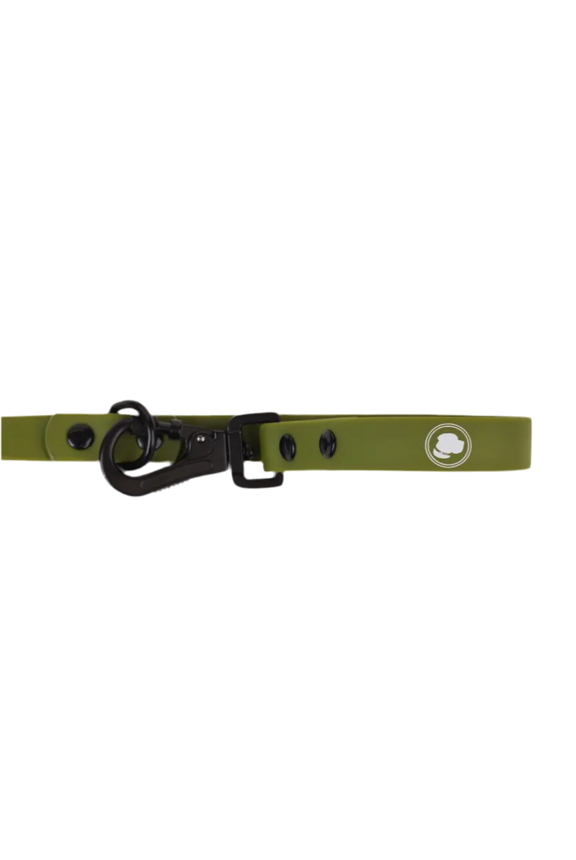 Olive Green Leash