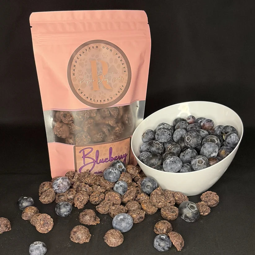 Raynee Day Treats- Mini Blueberry Crunchies