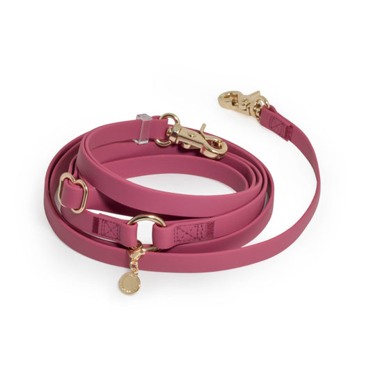 Burgundy 4-in-1 Convertible Hands Free Cloud Dog Leash: Wide