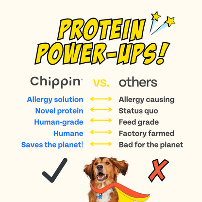 Chippin Sweet Potato Cricket Carrot Soft Dog Treat