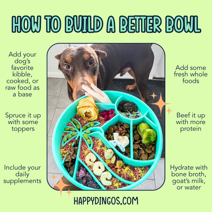 Happy Dingos Loco Coco Slow Feeder Bowl : Seafoam