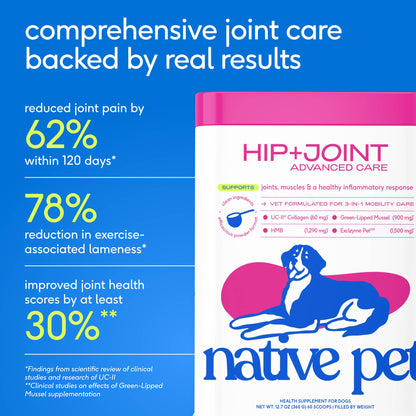 Hip+Joint Advanced Care Powder Joint, Muscle & Inflammation: 30 scoops