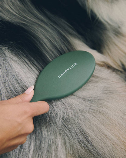 Daily Grooming Brush