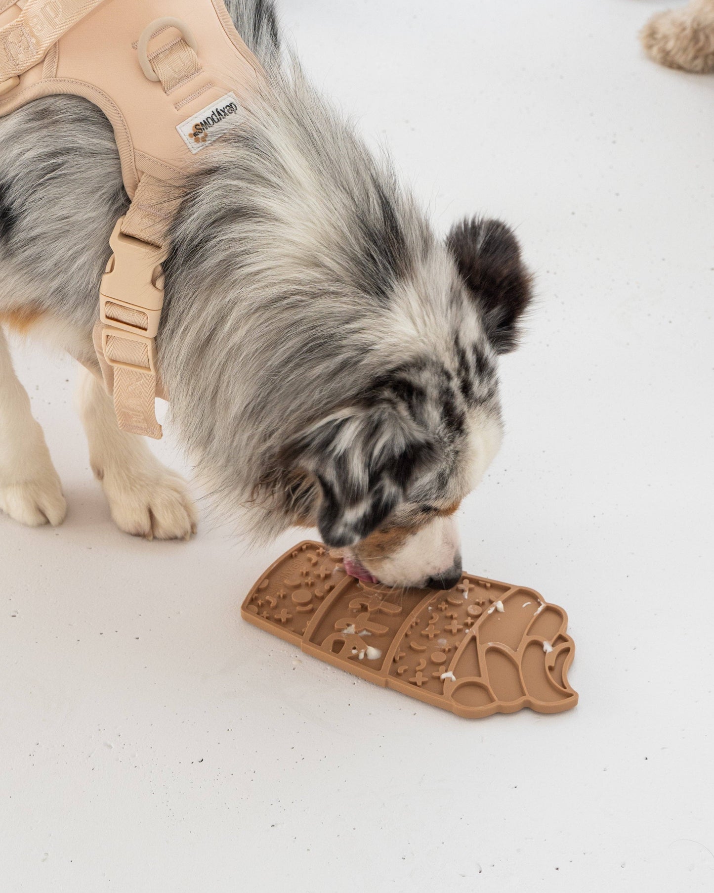 Puppaccino Enrichment Lick Mat