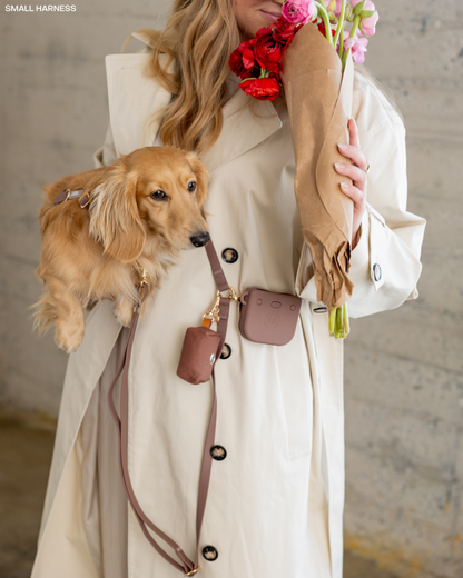 Espresso Brown 4-in-1 Convertible Hands Free Dog Leash