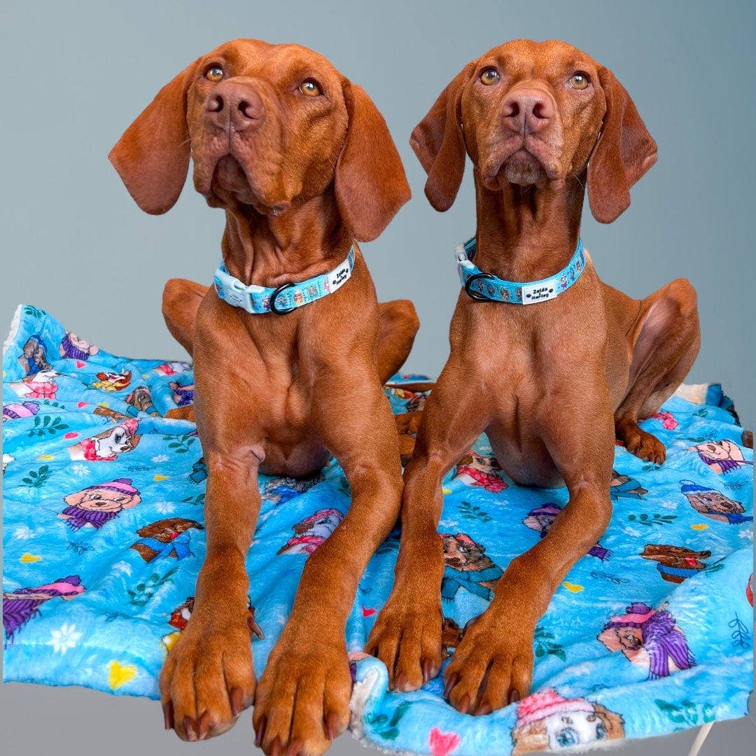 Snow Pawtrol Dog Blanket