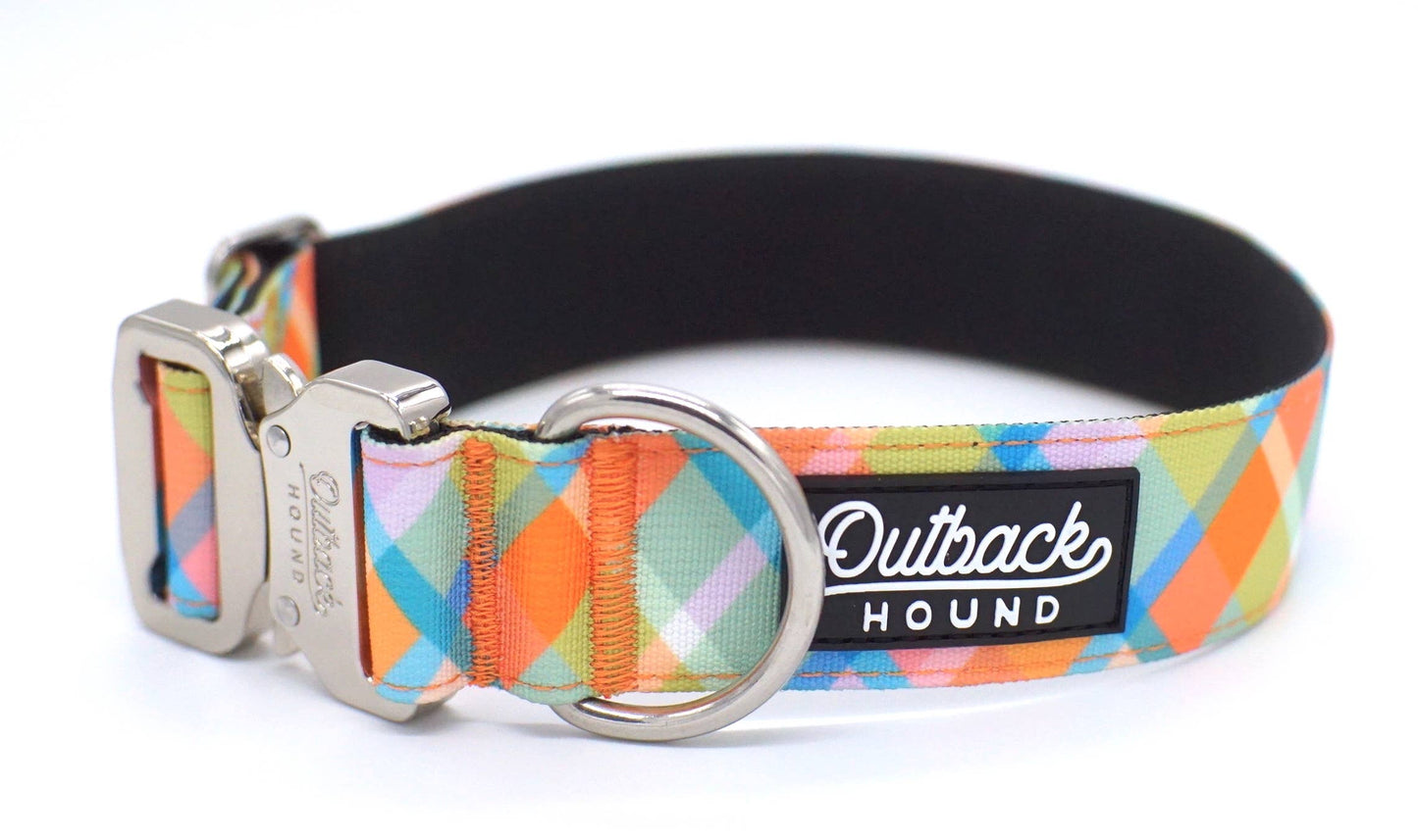 Summer Plaid Dog Collar