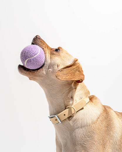 4-Pack Dog Tennis Balls: Lilac