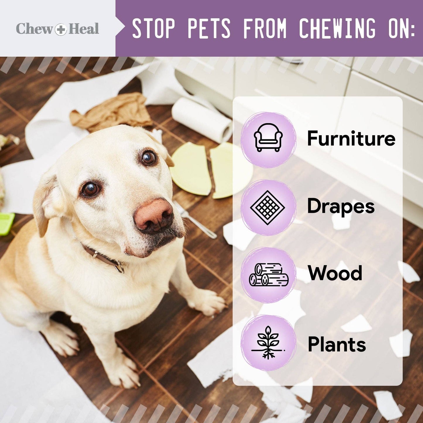 No Chew Spray For Dogs & Cats| Dogs Anti Chew Spray| Chew + Heal