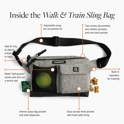 Dog Walk & Train Sling Bag: Graphite