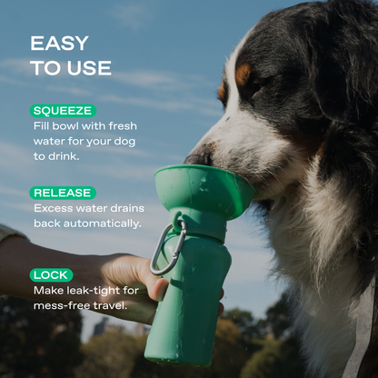 Springland Dog Travel Water Bottle Oat