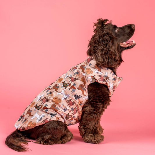 Winter Pooches : Puffer Vest:
