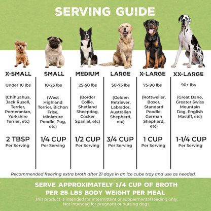 Mini Brutus Broth Skin & Coat Vegetarian Bone Broth