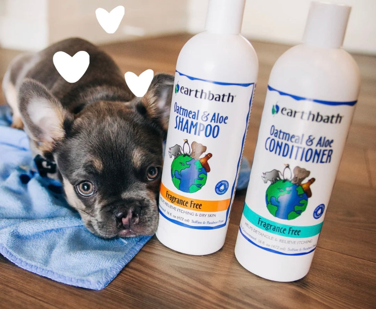 EarthBath Fragrance Free Dog Shampoo
