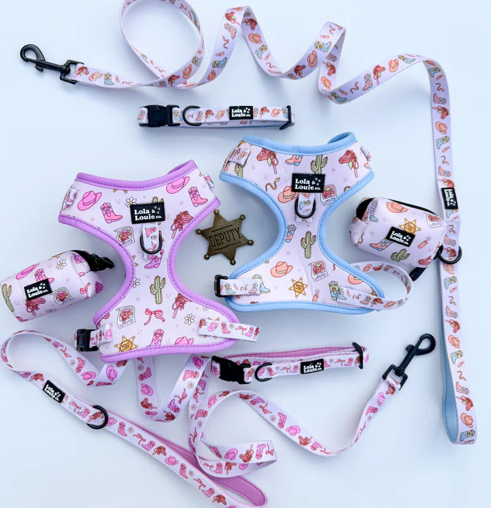 Howdy Cowgirl Dog Collar