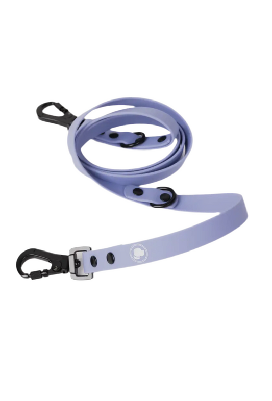 Lavender Leash